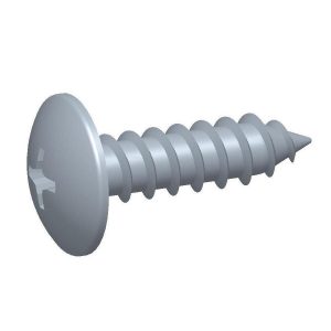 Cabeça Lentilha