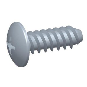 Cabeça Lentilha